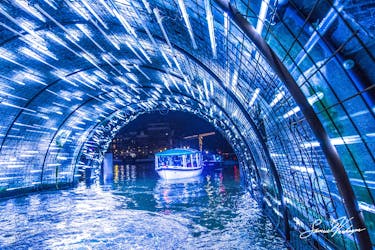 Amsterdam Light Festival grachtenrondvaart op een luxe boot